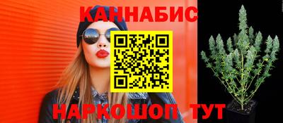 синтетический гашиш Камышлов