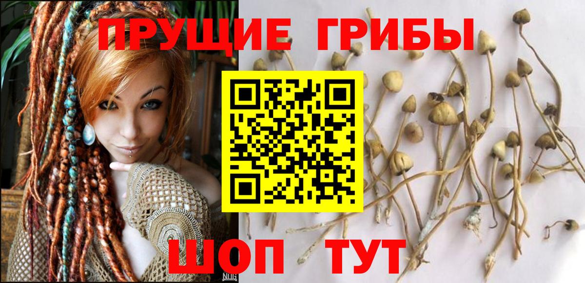 Галлюциногенные грибы GOLDEN TEACHER Корсаков